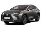 Ворсовые коврики на Lexus NX II 2021 - 2025 в Петрозаводске