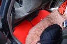 Коврики на Toyota Cresta (X100) 1996 - 2001 в Петрозаводске