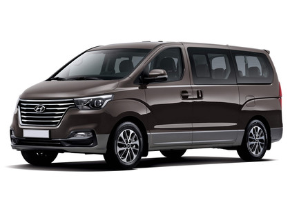 Ворсовые коврики на Hyundai H1 II 2007 - 2022 в Петрозаводске