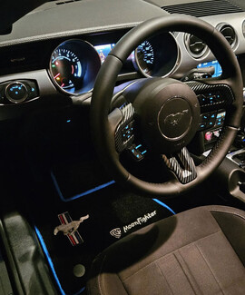 Ворсовые коврики на Ford Mustang VI 2013&nbsp;-&nbsp;2023 в Петрозаводске