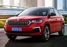 Ворсовые коврики на Skoda Kamiq 2018 - 2025 в Петрозаводске